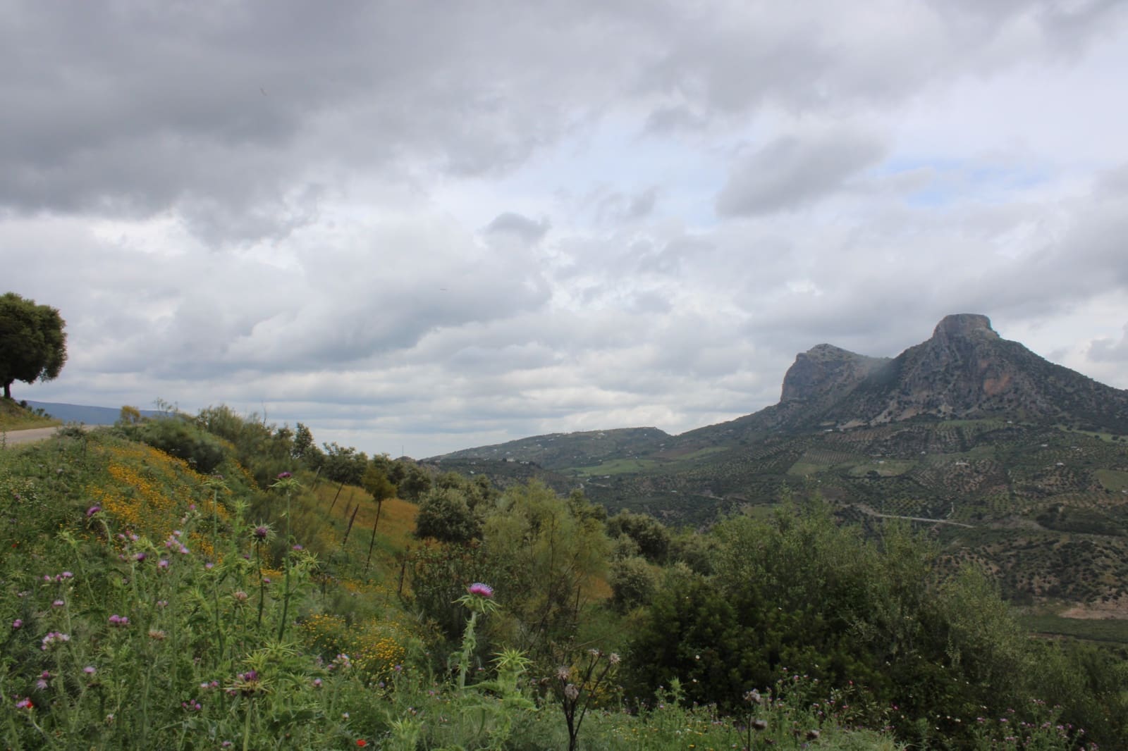 3 soveværelse Finca/Landehus til salg i Zahara de la Sierra - € 240.000 (Ref: 9150947)