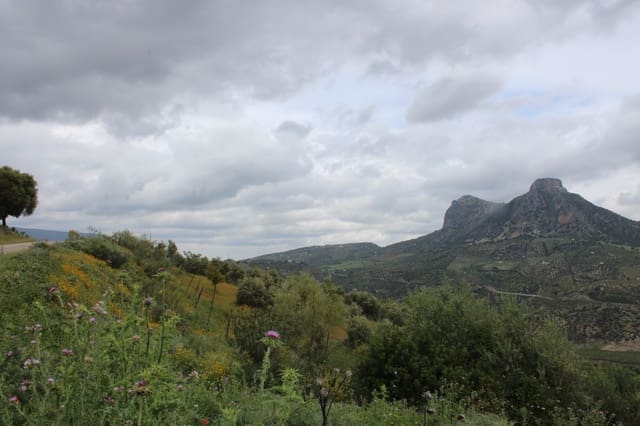 3 slaapkamer Finca/Landhuis te koop in Zahara de la Sierra - € 240.000 (Ref: 9150947)