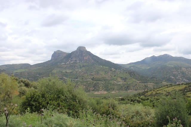 3 slaapkamer Finca/Landhuis te koop in Zahara de la Sierra - € 240.000 (Ref: 9150947)