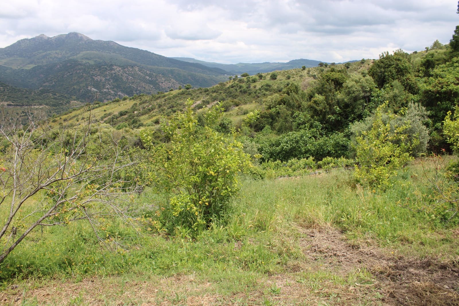 3 soveværelse Finca/Landehus til salg i Zahara de la Sierra - € 240.000 (Ref: 9150947)