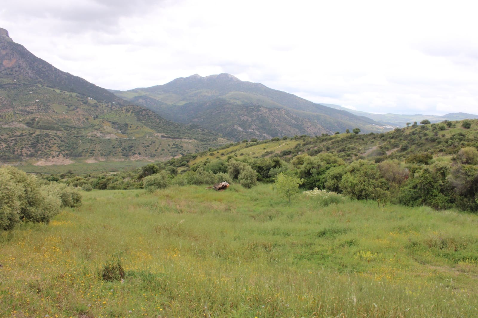 3 soveværelse Finca/Landehus til salg i Zahara de la Sierra - € 240.000 (Ref: 9150947)