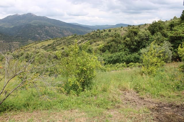 3 slaapkamer Finca/Landhuis te koop in Zahara de la Sierra - € 240.000 (Ref: 9150947)