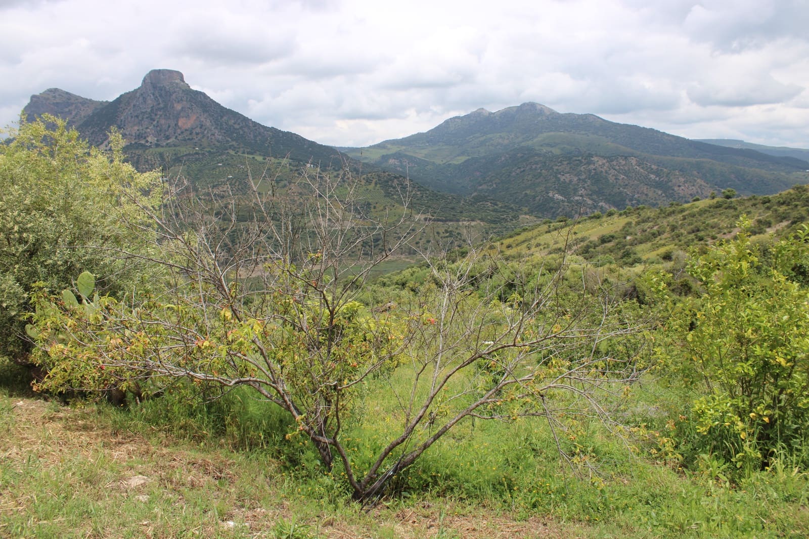 3 soveværelse Finca/Landehus til salg i Zahara de la Sierra - € 240.000 (Ref: 9150947)