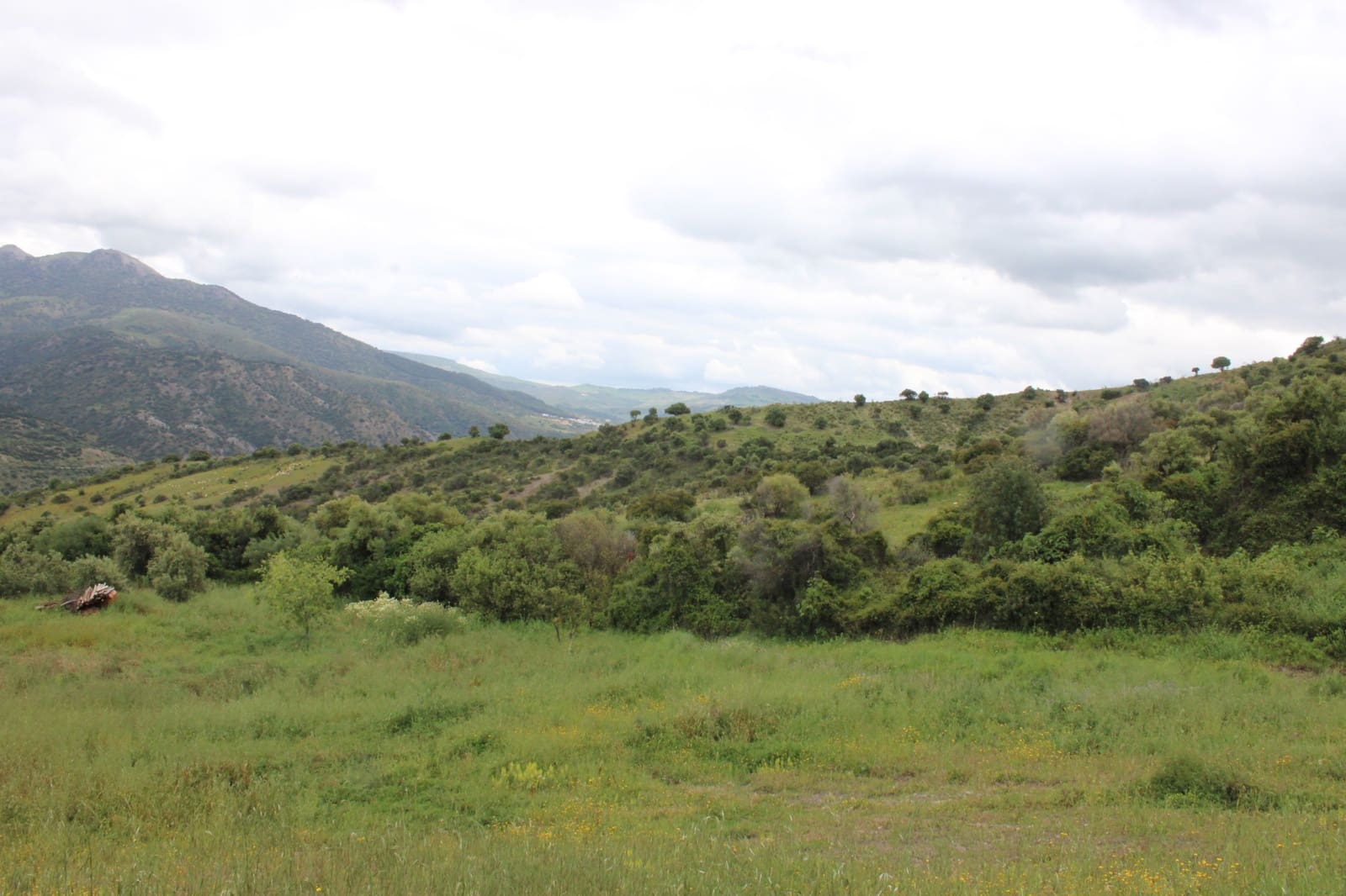 3 soveværelse Finca/Landehus til salg i Zahara de la Sierra - € 240.000 (Ref: 9150947)