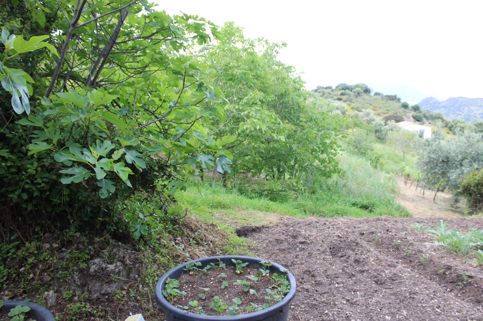 3 soveværelse Finca/Landehus til salg i Zahara de la Sierra - € 240.000 (Ref: 9150947)