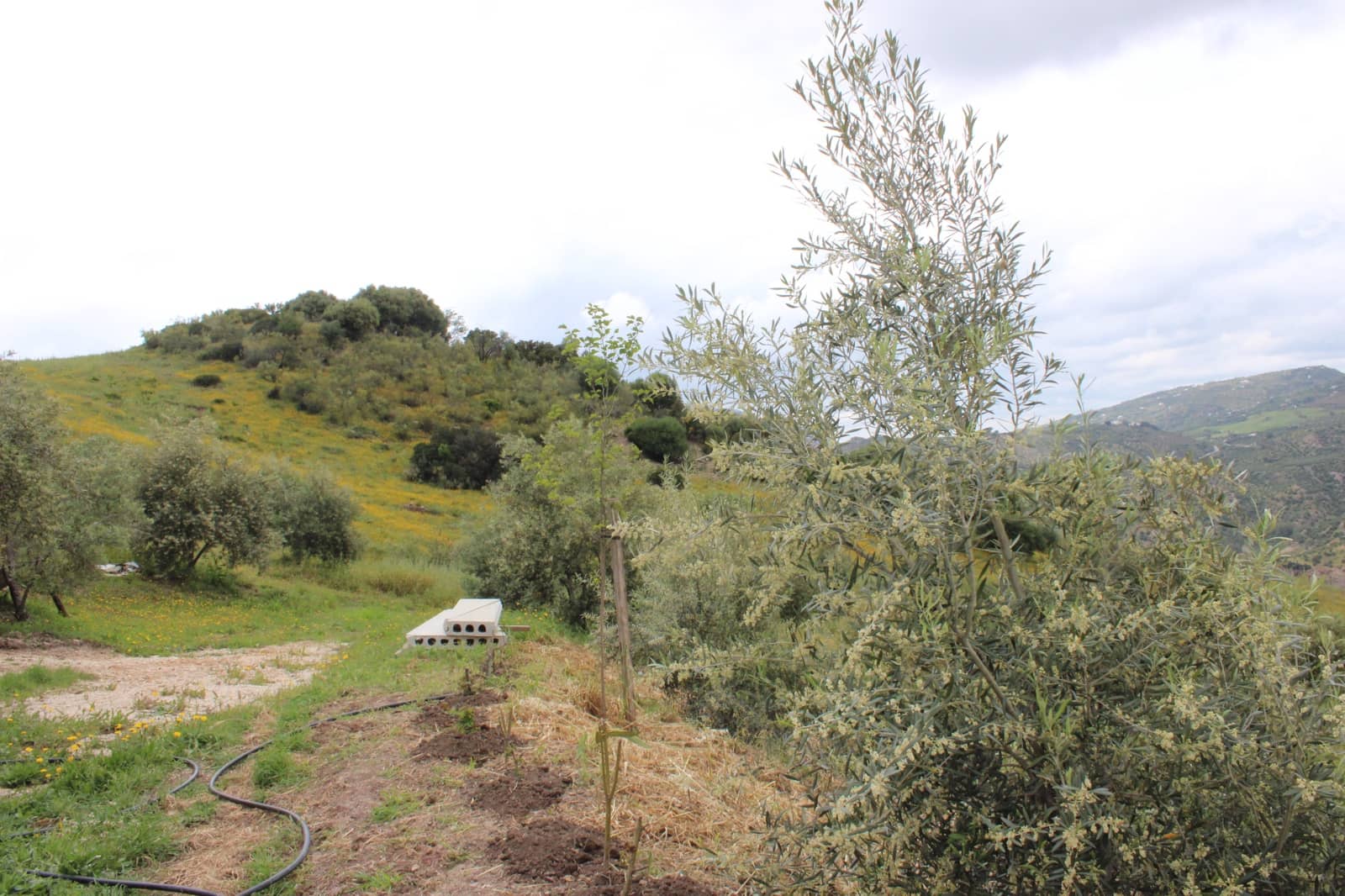 3 soveværelse Finca/Landehus til salg i Zahara de la Sierra - € 240.000 (Ref: 9150947)