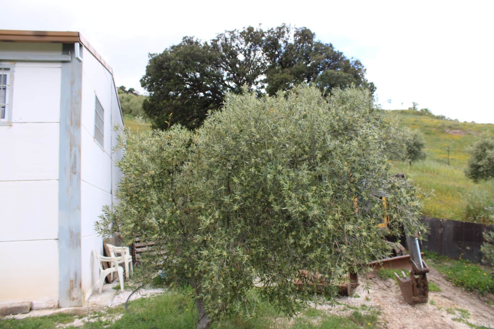 3 soveværelse Finca/Landehus til salg i Zahara de la Sierra - € 240.000 (Ref: 9150947)