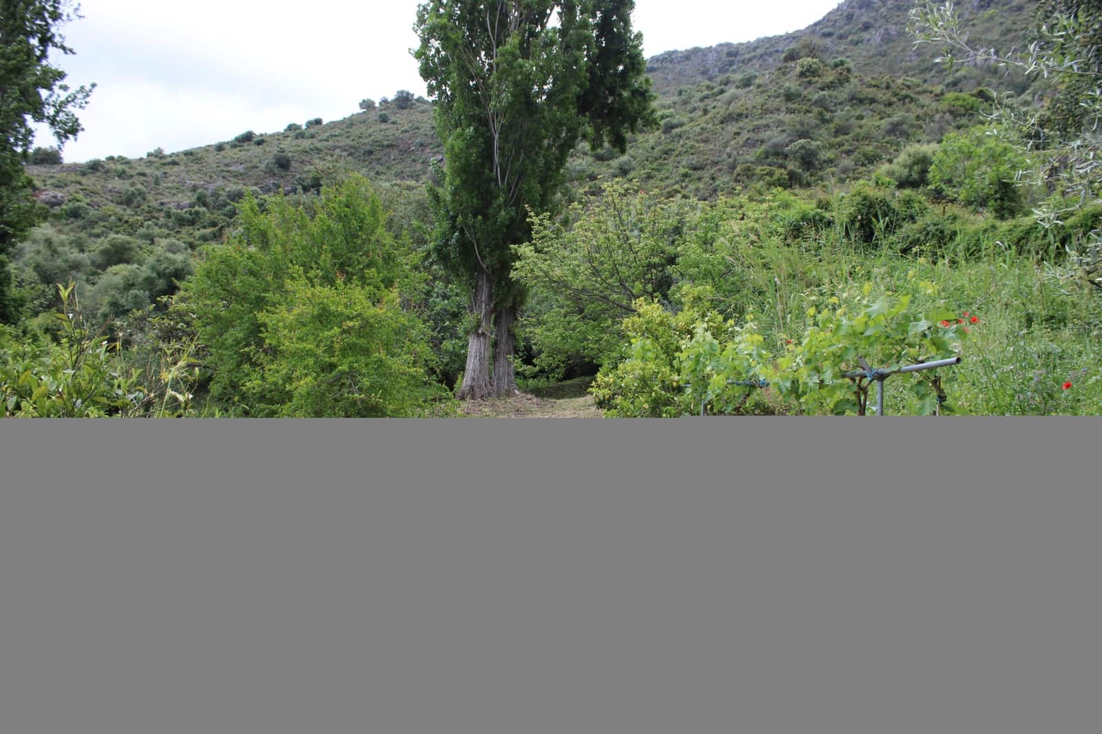 3 soveværelse Finca/Landehus til salg i Zahara de la Sierra - € 240.000 (Ref: 9150947)