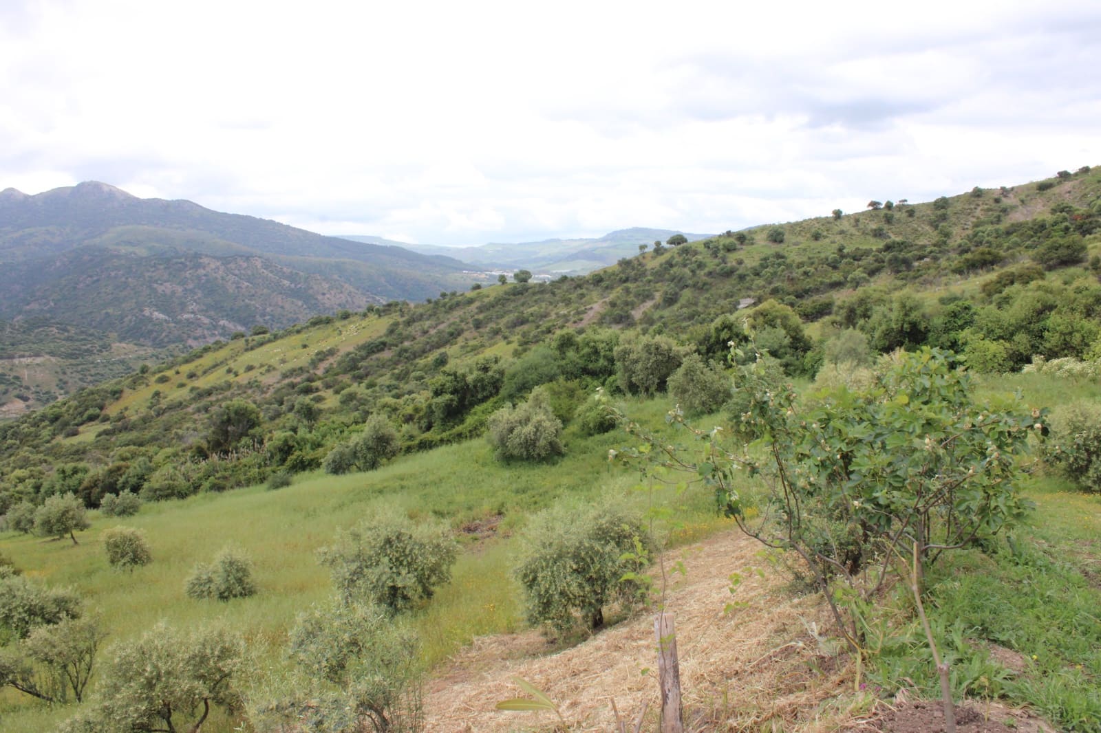 3 soveværelse Finca/Landehus til salg i Zahara de la Sierra - € 240.000 (Ref: 9150947)