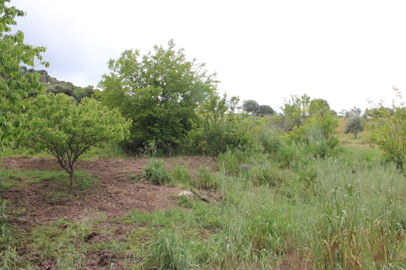 3 soveværelse Finca/Landehus til salg i Zahara de la Sierra - € 240.000 (Ref: 9150947)