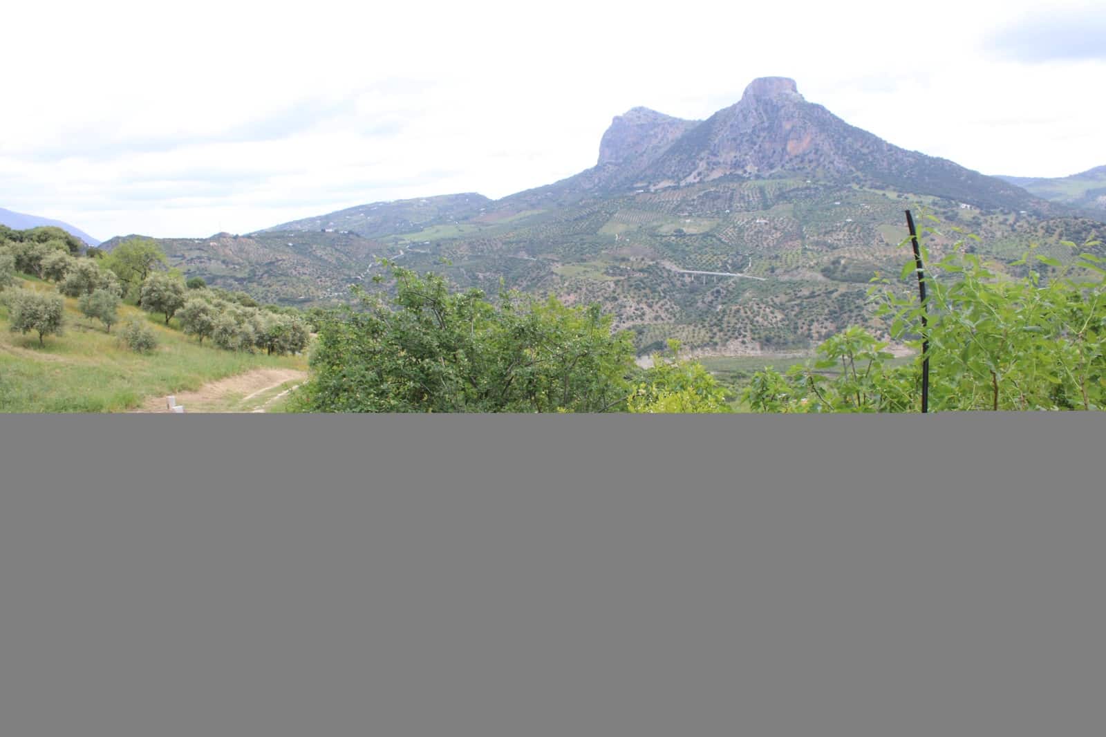 3 soveværelse Finca/Landehus til salg i Zahara de la Sierra - € 240.000 (Ref: 9150947)