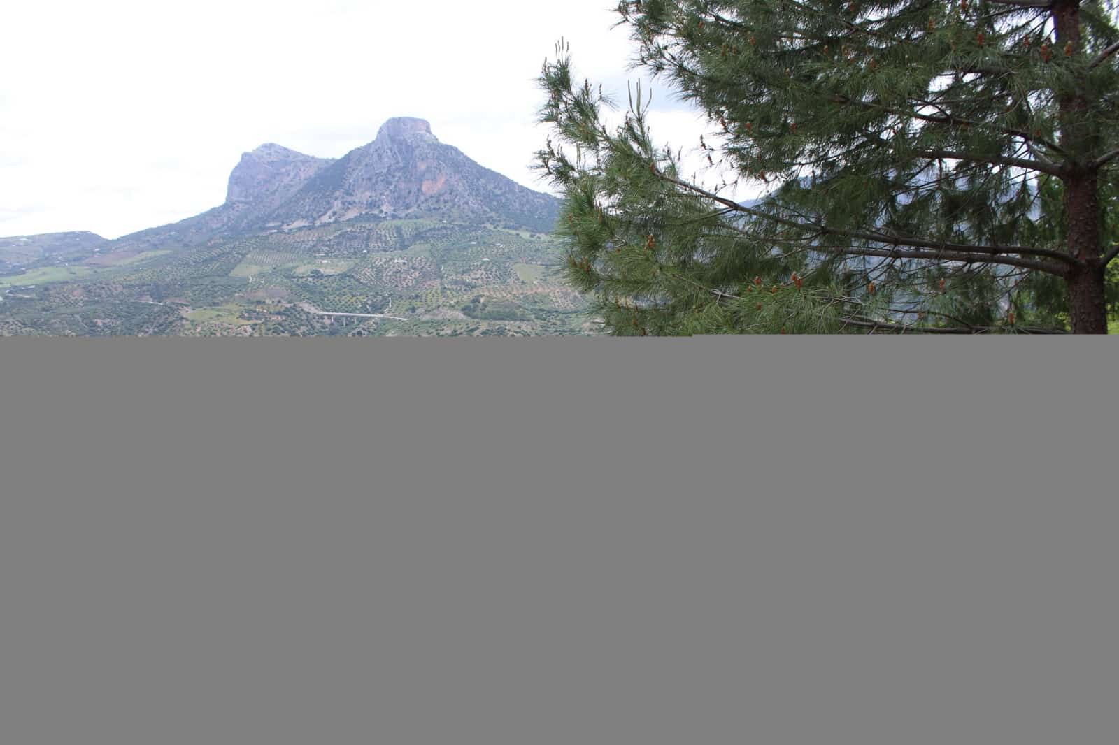 3 soveværelse Finca/Landehus til salg i Zahara de la Sierra - € 240.000 (Ref: 9150947)