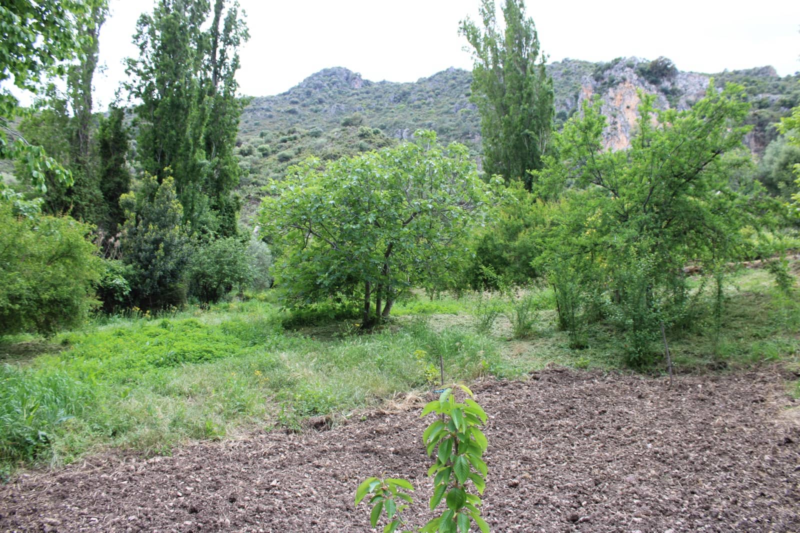 3 soveværelse Finca/Landehus til salg i Zahara de la Sierra - € 240.000 (Ref: 9150947)