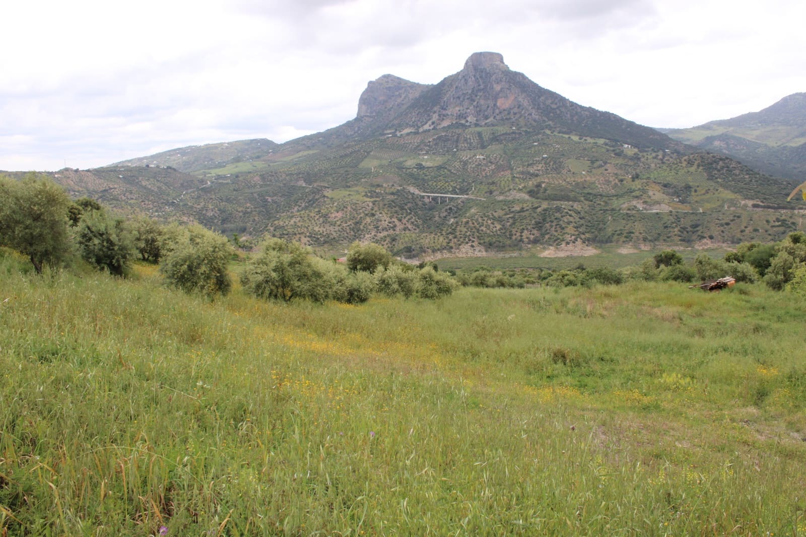 3 soveværelse Finca/Landehus til salg i Zahara de la Sierra - € 240.000 (Ref: 9150947)