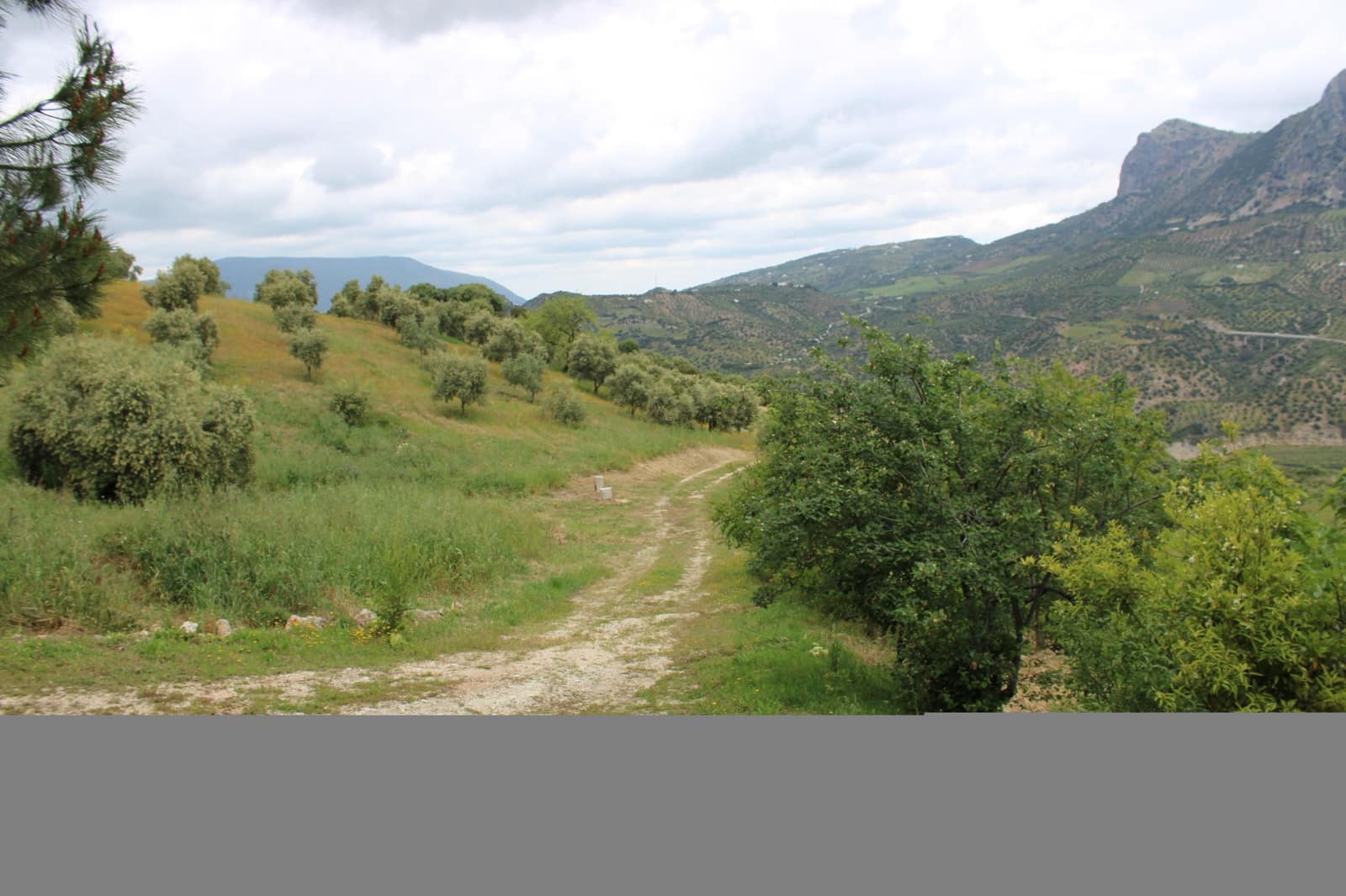 3 soveværelse Finca/Landehus til salg i Zahara de la Sierra - € 240.000 (Ref: 9150947)