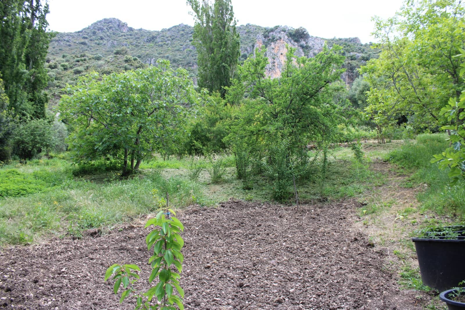 3 soveværelse Finca/Landehus til salg i Zahara de la Sierra - € 240.000 (Ref: 9150947)