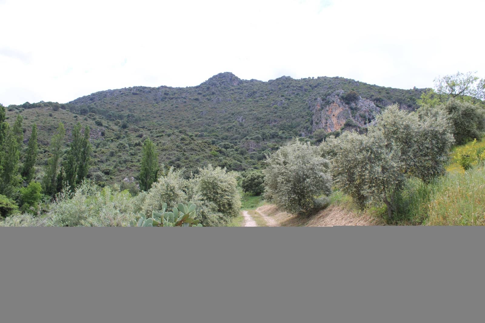 3 soveværelse Finca/Landehus til salg i Zahara de la Sierra - € 240.000 (Ref: 9150947)