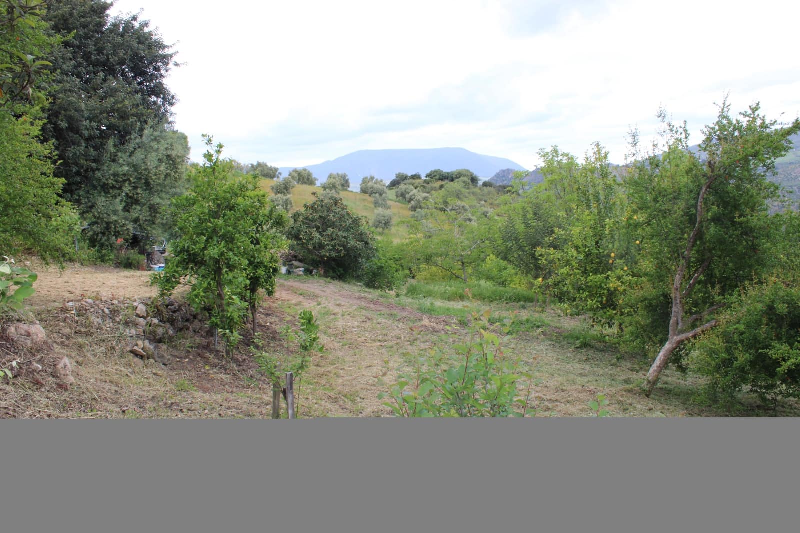 3 soveværelse Finca/Landehus til salg i Zahara de la Sierra - € 240.000 (Ref: 9150947)