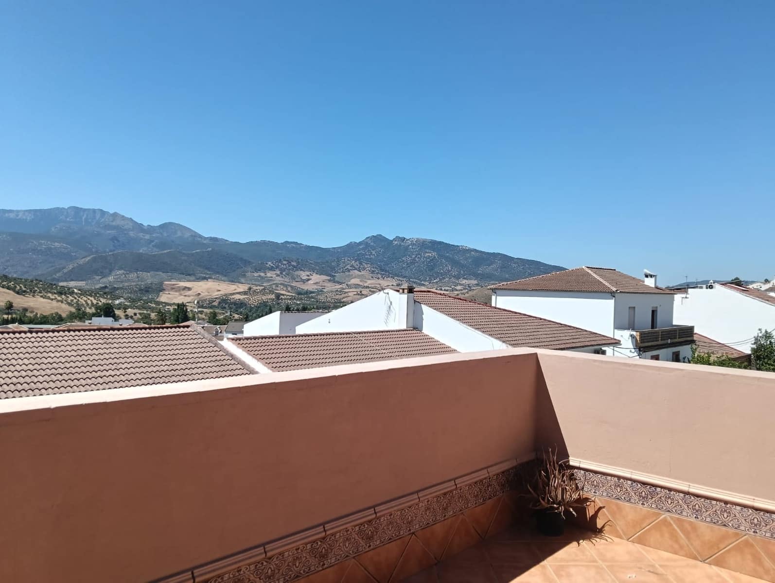 1 soveværelse Virksomhed til salg i Algodonales - € 600.000 (Ref: 9205533)