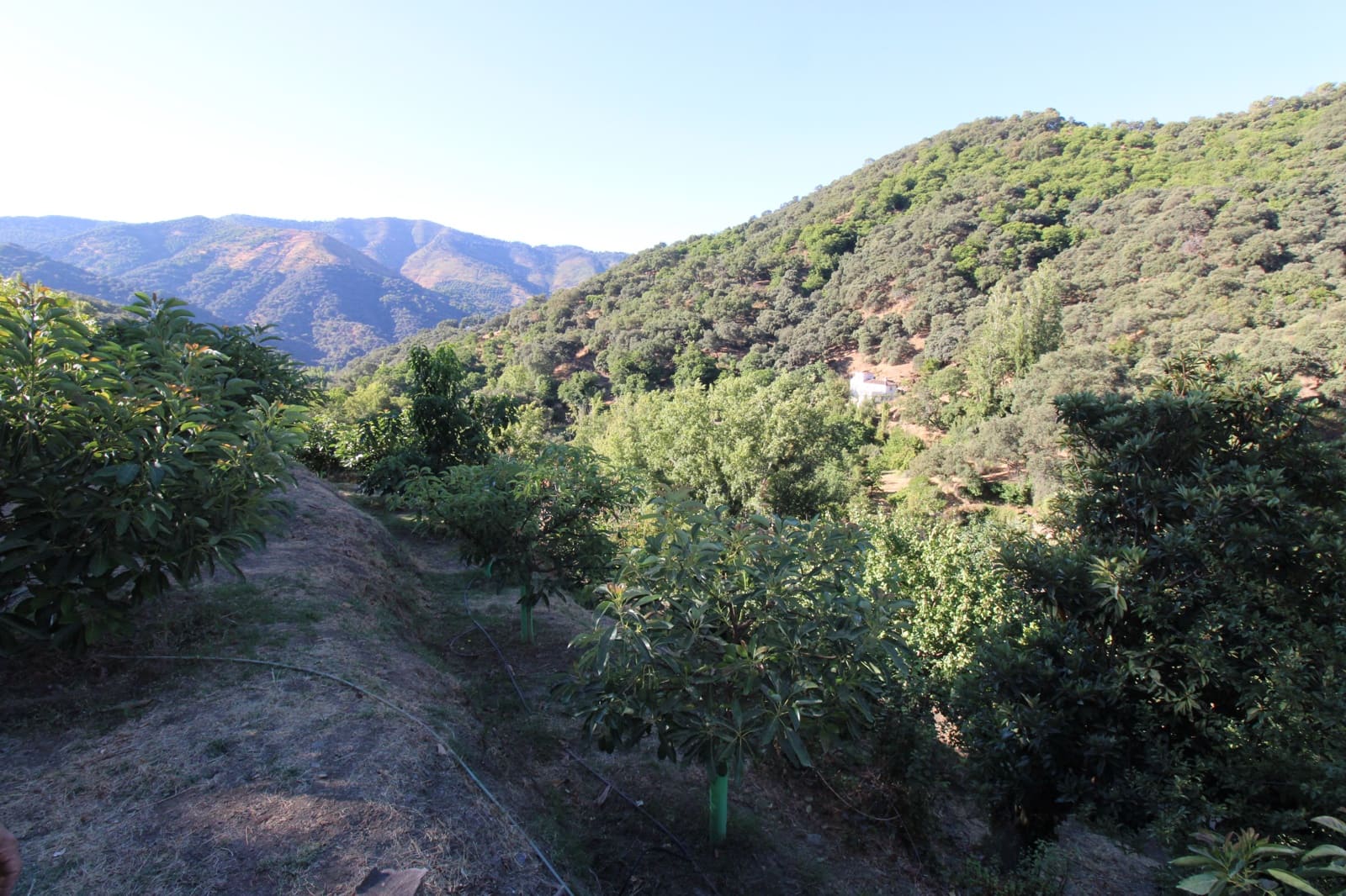 Byggetomt til salgs i Juzcar - € 55 000 (Ref: 9287182)