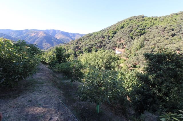 Building Plot for sale in Júzcar - € 55,000 (Ref: 9287182)