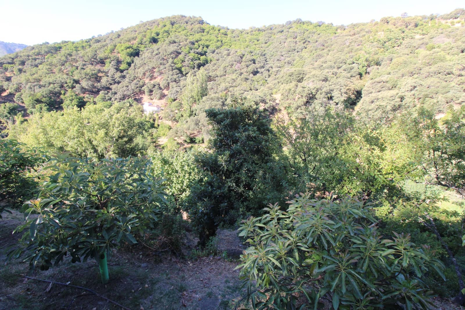 Byggetomt til salgs i Juzcar - € 55 000 (Ref: 9287182)