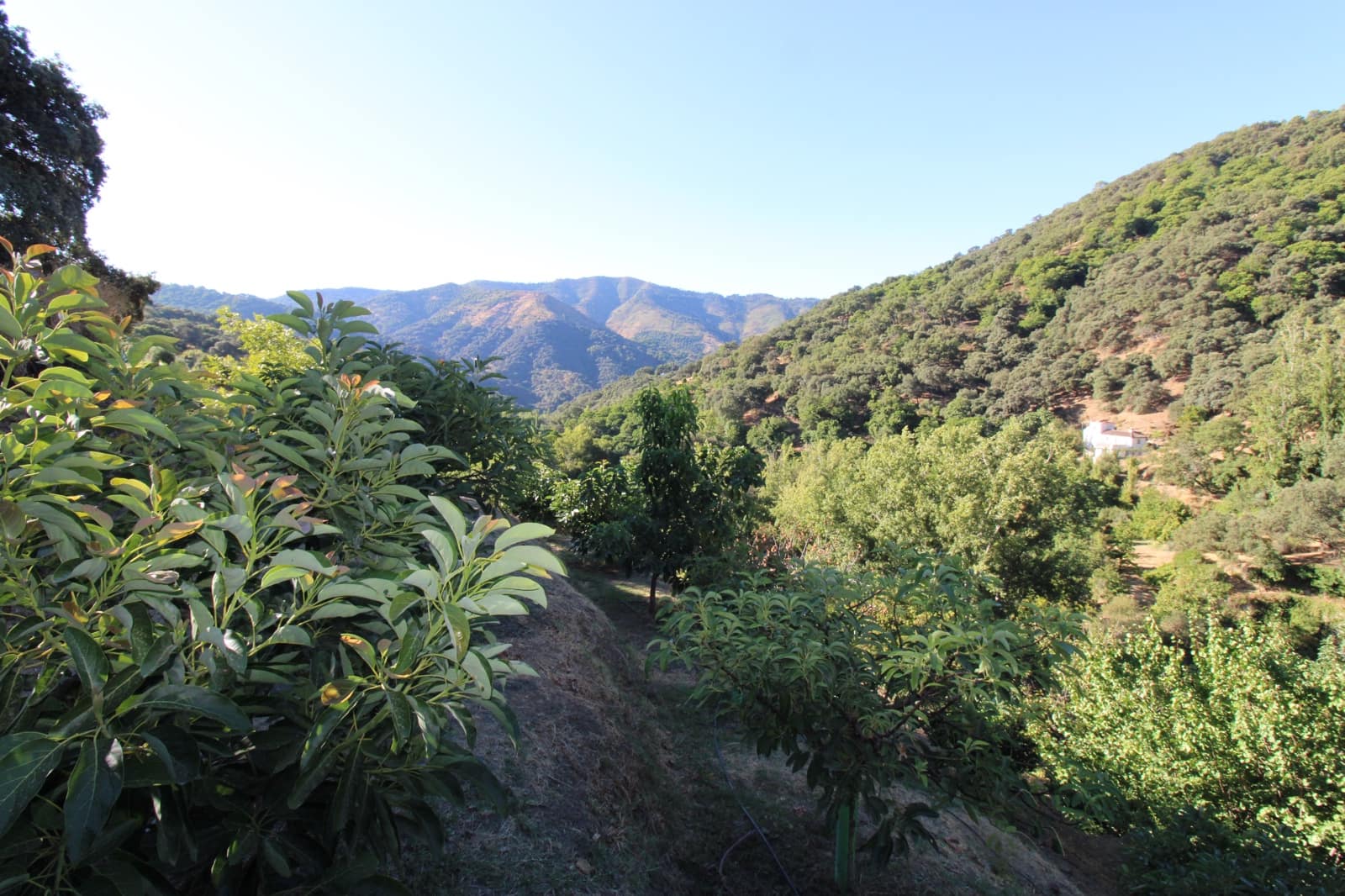 Byggetomt til salgs i Juzcar - € 55 000 (Ref: 9287182)