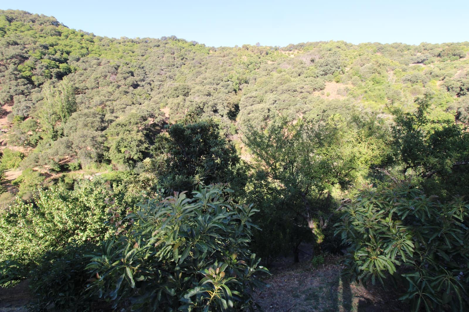 Byggetomt til salgs i Juzcar - € 55 000 (Ref: 9287182)