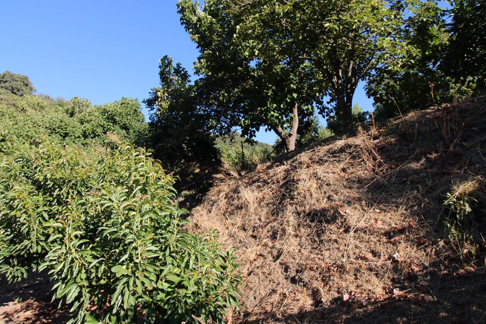 Byggetomt til salgs i Juzcar - € 55 000 (Ref: 9287182)