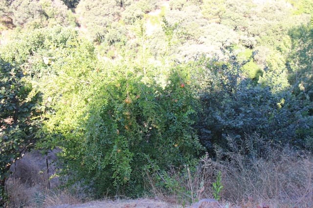 Building Plot for sale in Júzcar - € 55,000 (Ref: 9287182)