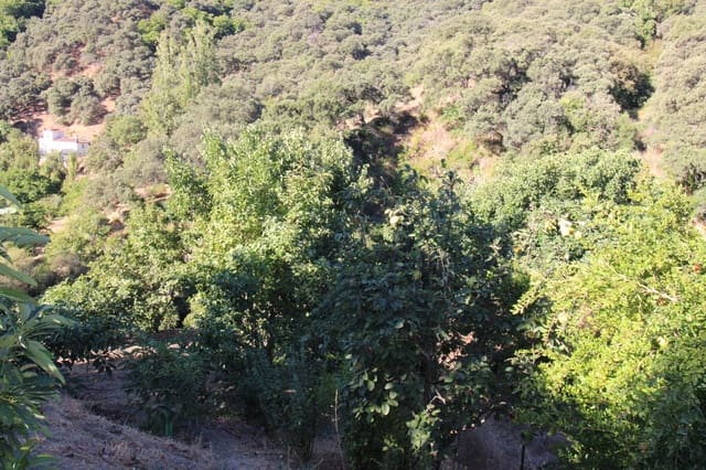 Building Plot for sale in Júzcar - € 55,000 (Ref: 9287182)