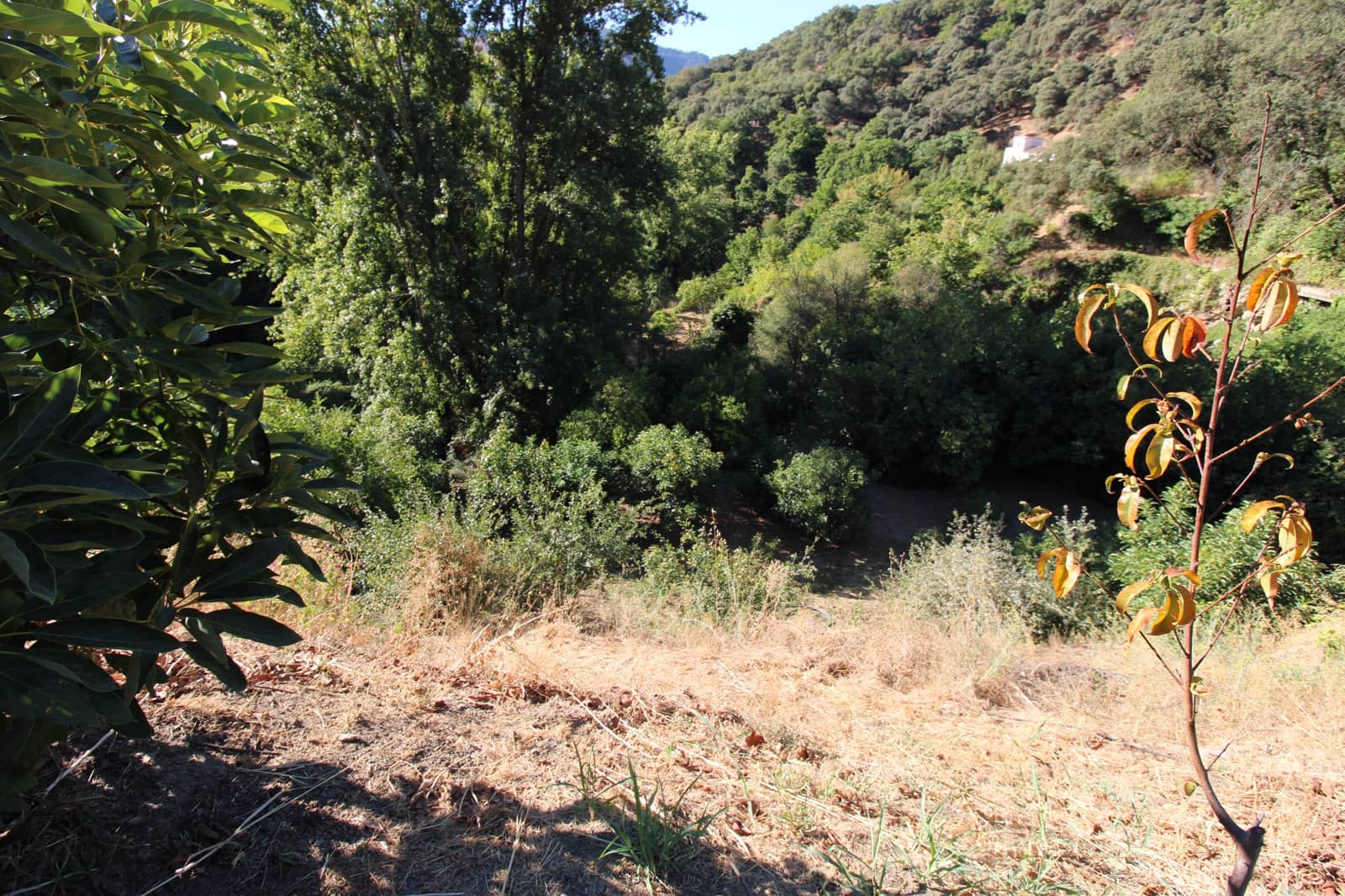 Byggetomt til salgs i Juzcar - € 55 000 (Ref: 9287182)