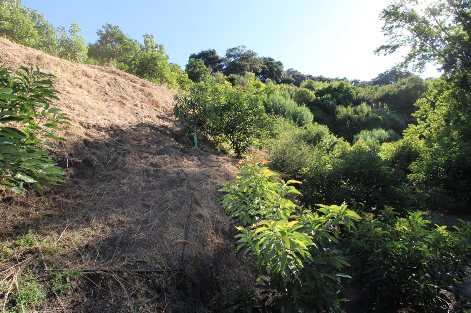 Byggetomt til salgs i Juzcar - € 55 000 (Ref: 9287182)