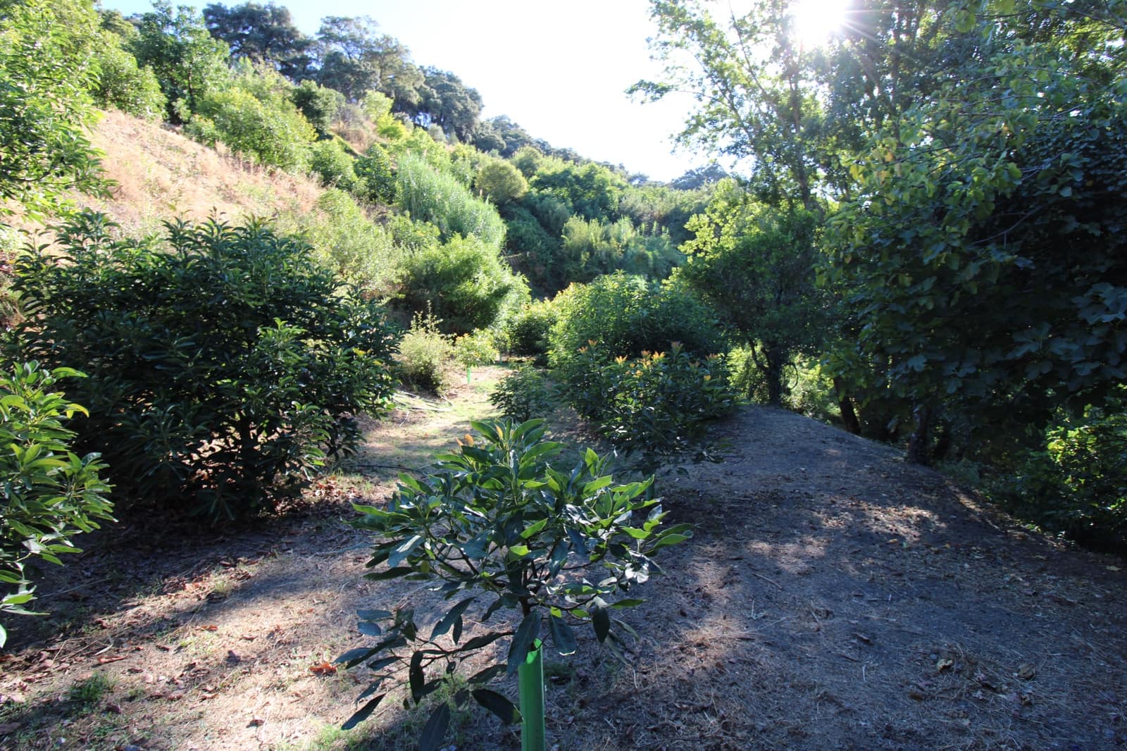 Byggetomt til salgs i Juzcar - € 55 000 (Ref: 9287182)