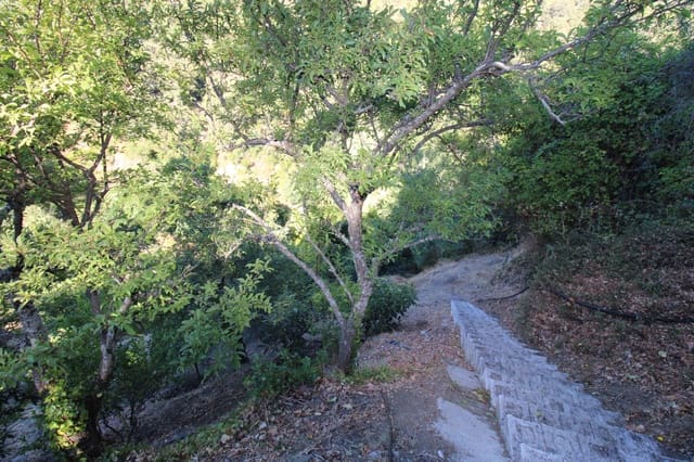 Building Plot for sale in Júzcar - € 55,000 (Ref: 9287182)