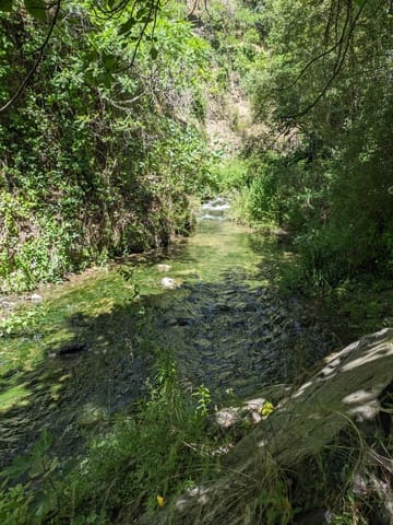 Building Plot for sale in Júzcar - € 55,000 (Ref: 9287182)