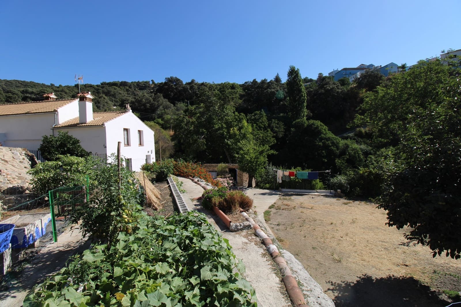 5 camera da letto Finca/Casa di Campagna in vendita in Juzcar con piscina - 650.000 € (Rif: 9297926)