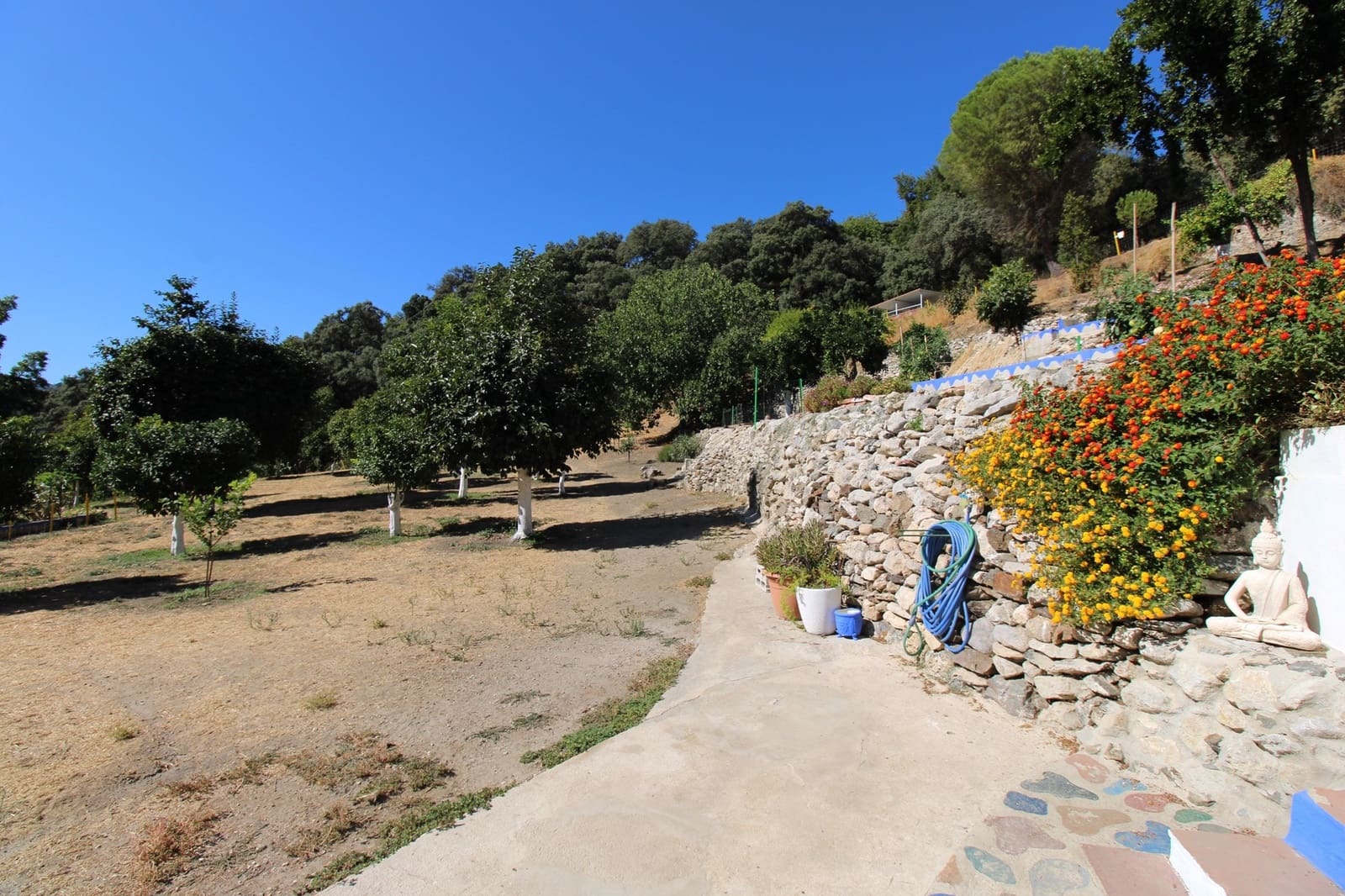 5 camera da letto Finca/Casa di Campagna in vendita in Juzcar con piscina - 650.000 € (Rif: 9297926)