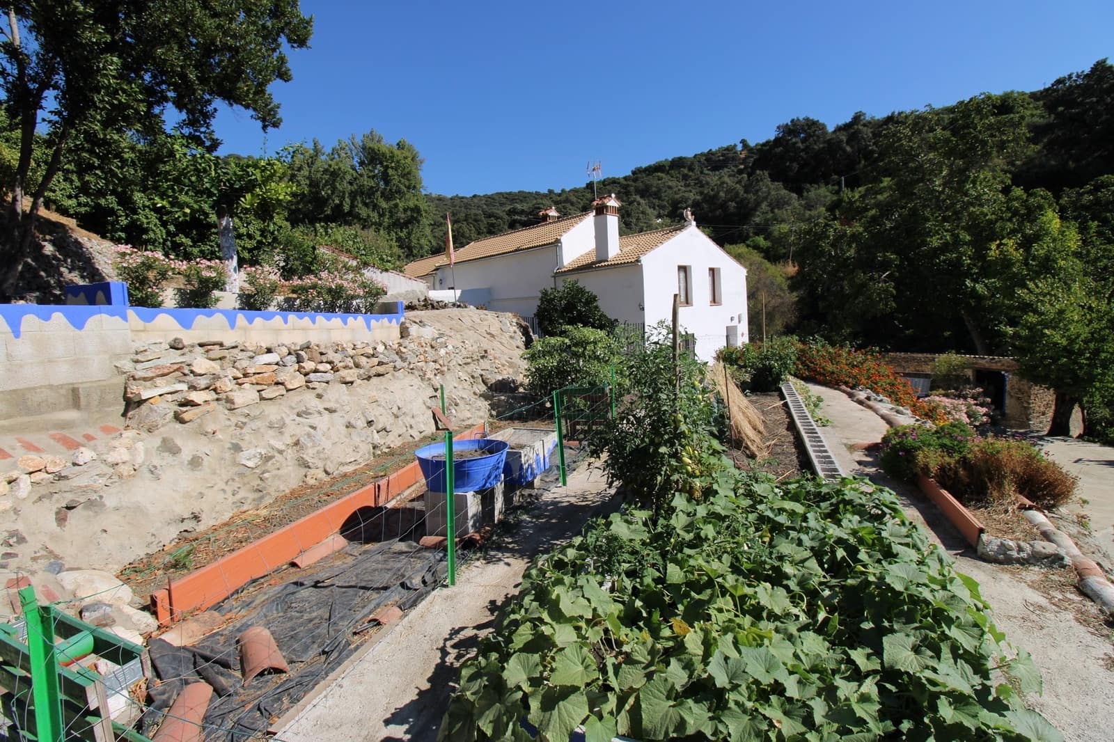 5 camera da letto Finca/Casa di Campagna in vendita in Juzcar con piscina - 650.000 € (Rif: 9297926)