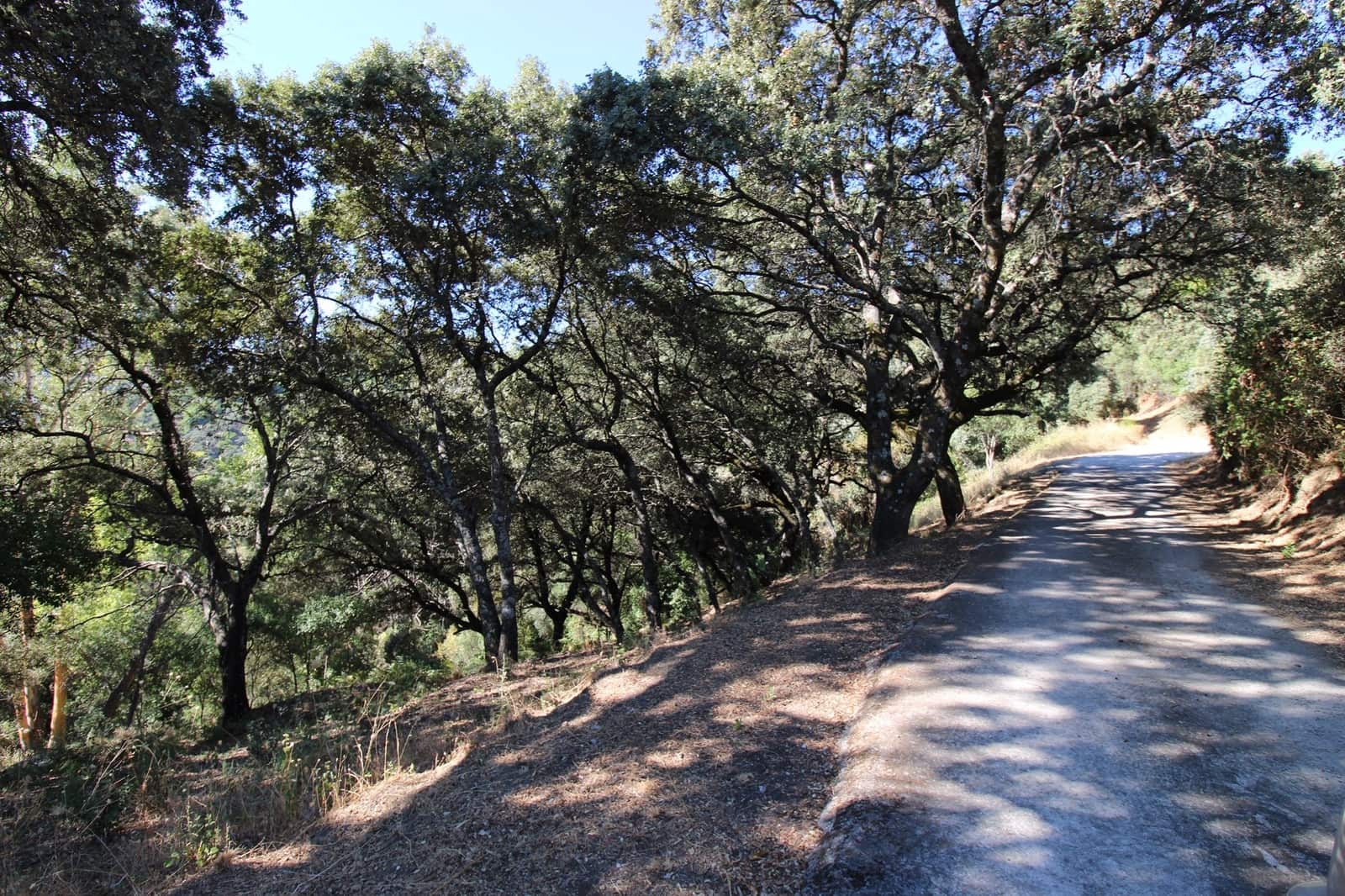 5 camera da letto Finca/Casa di Campagna in vendita in Juzcar con piscina - 650.000 € (Rif: 9297926)