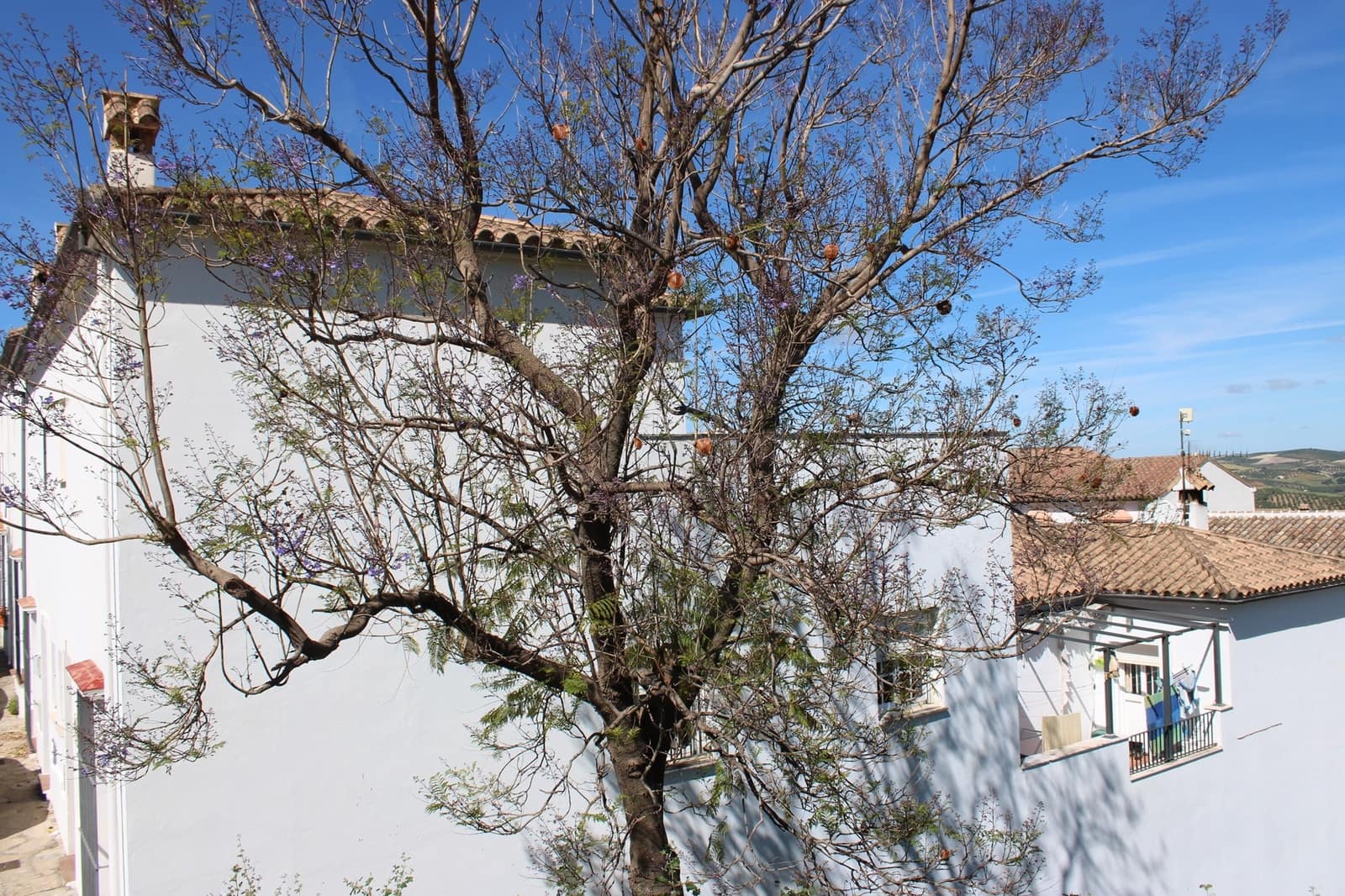 3 soveværelse Byhus til salg i Zahara de la Sierra - € 140.000 (Ref: 9441959)