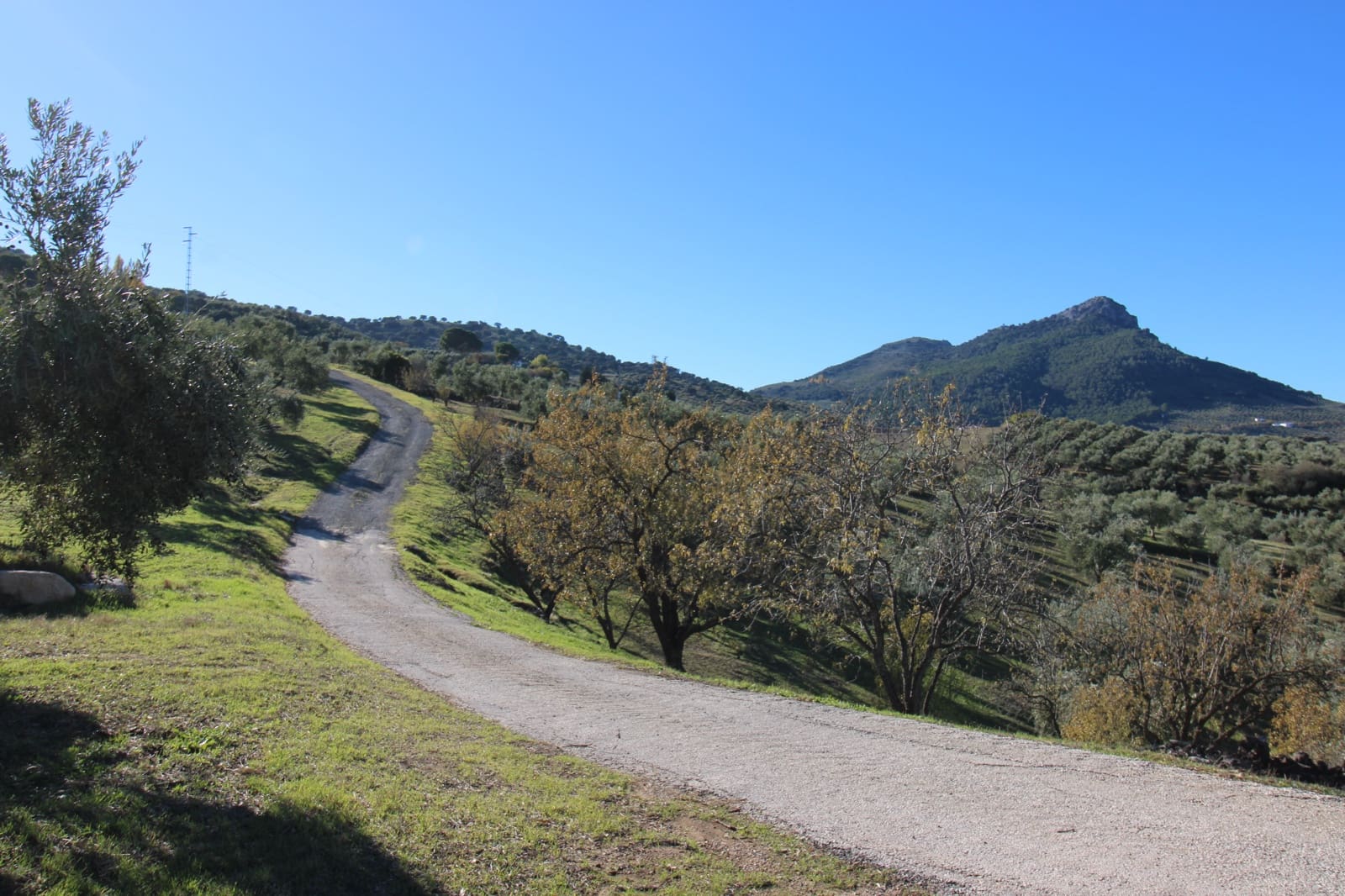 4 quarto Quinta/Casa Rural para venda em El Gastor - 1 000 000 € (Ref: 9471581)