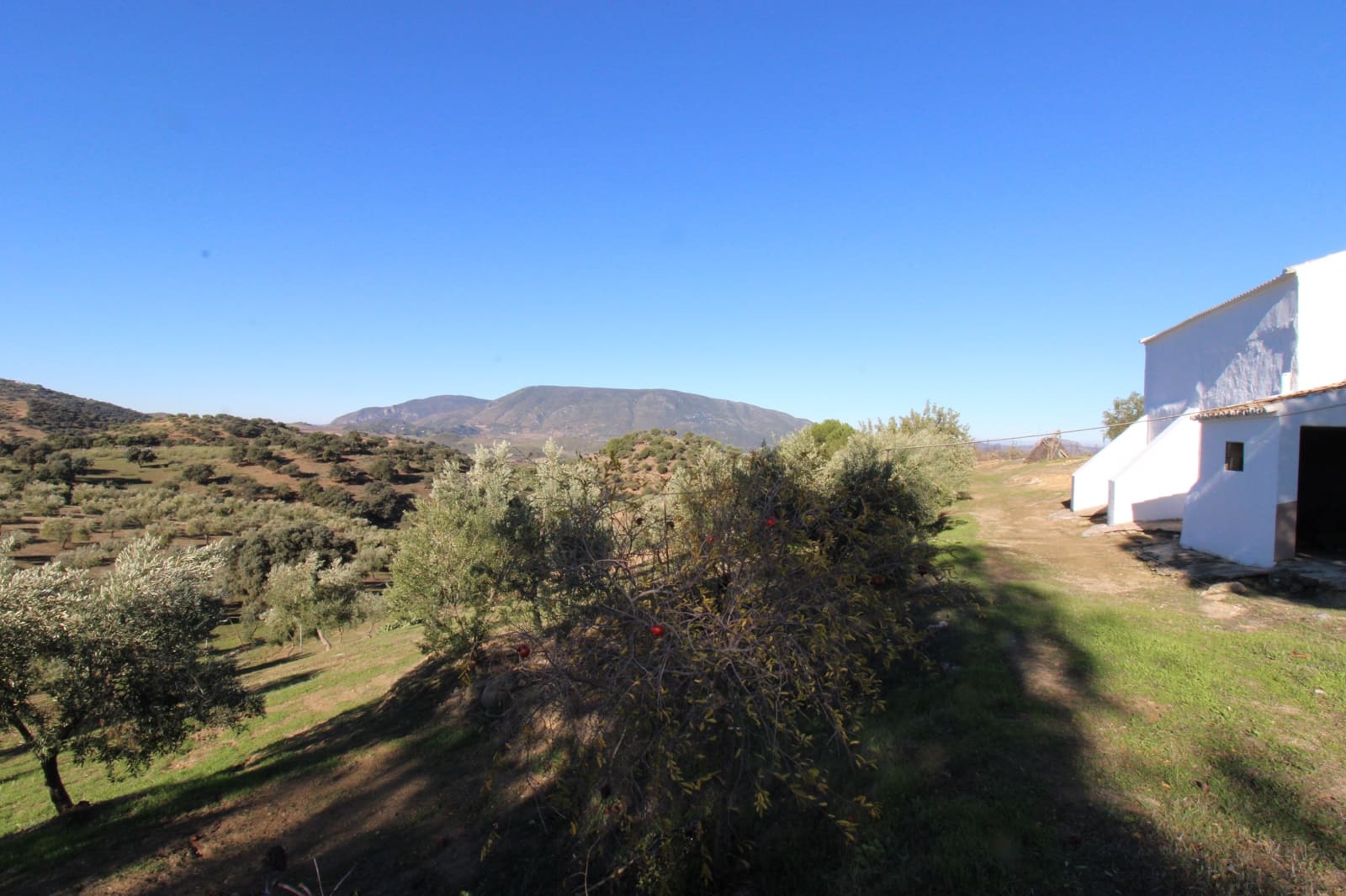 4 quarto Quinta/Casa Rural para venda em El Gastor - 1 000 000 € (Ref: 9471581)