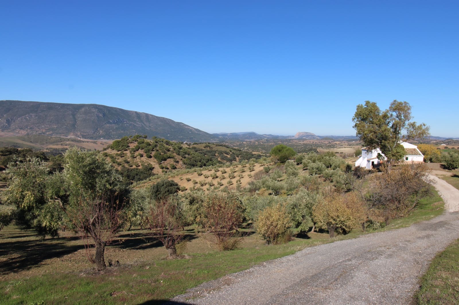 4 quarto Quinta/Casa Rural para venda em El Gastor - 1 000 000 € (Ref: 9471581)