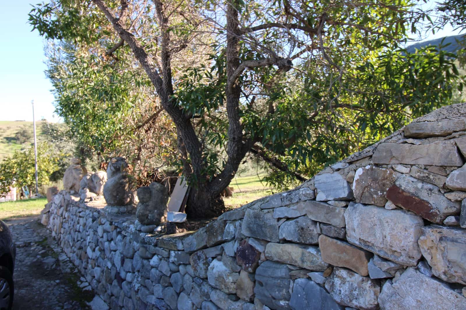 4 quarto Quinta/Casa Rural para venda em El Gastor - 1 000 000 € (Ref: 9471581)