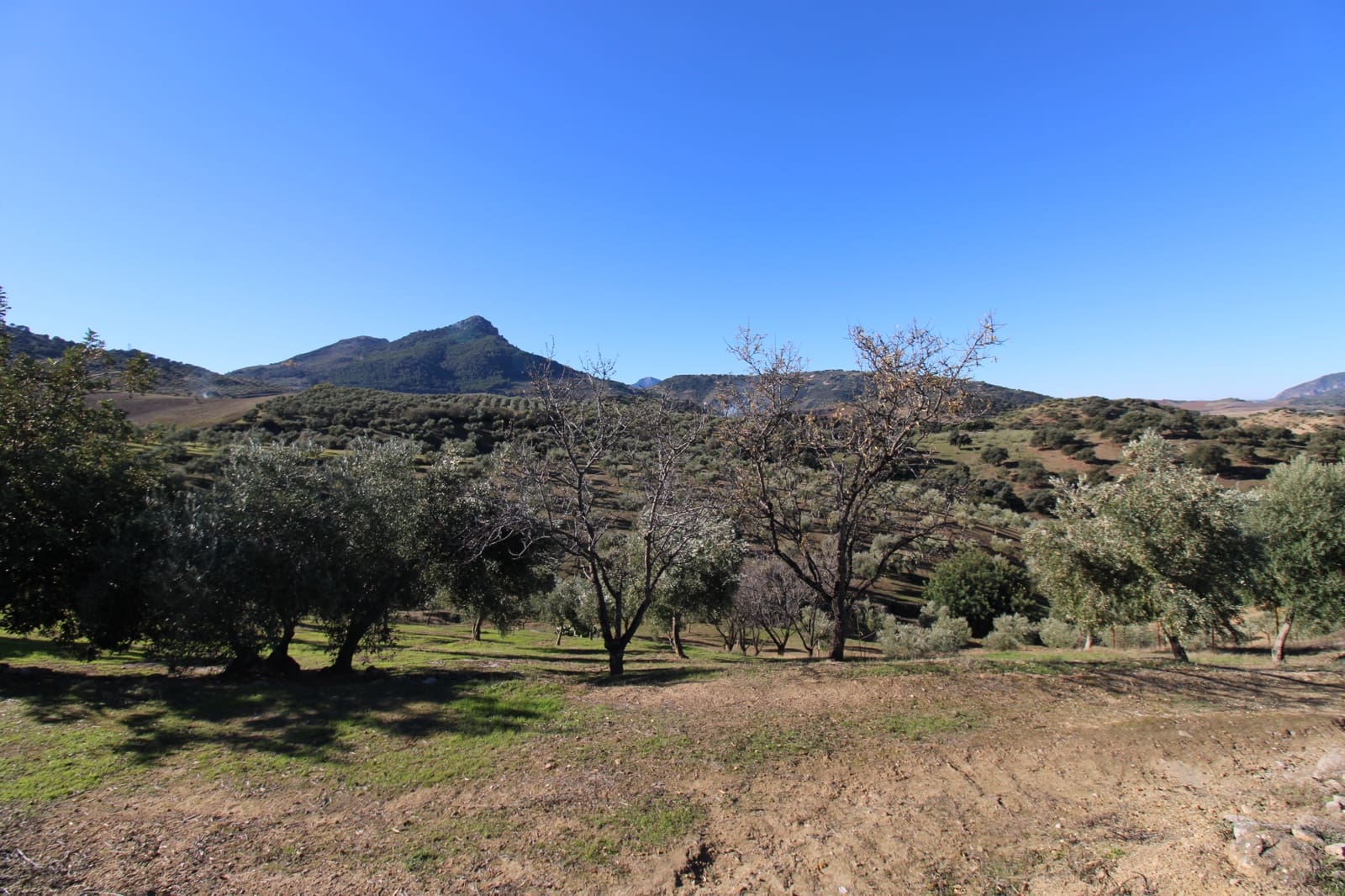 4 quarto Quinta/Casa Rural para venda em El Gastor - 1 000 000 € (Ref: 9471581)
