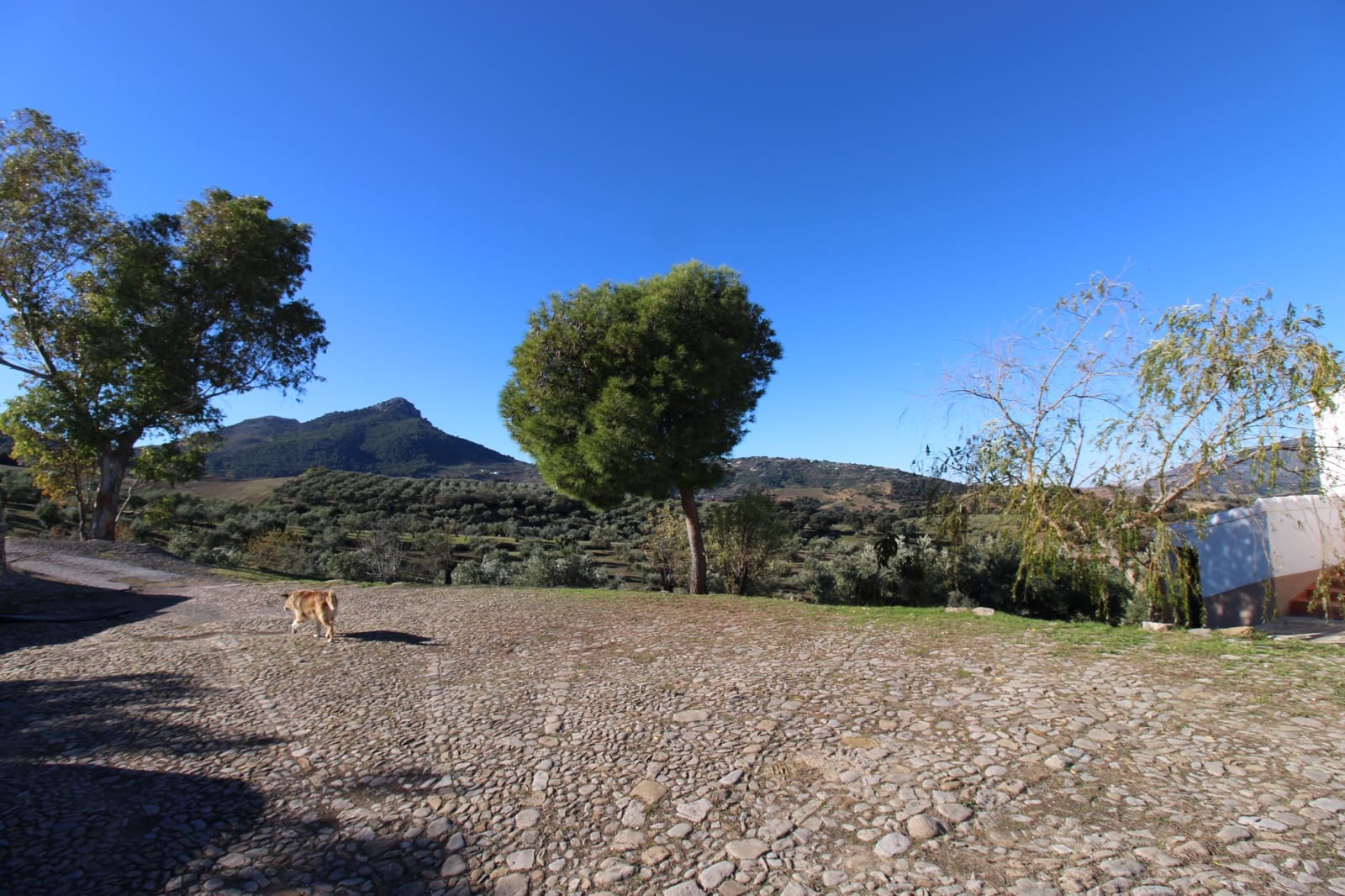 4 quarto Quinta/Casa Rural para venda em El Gastor - 1 000 000 € (Ref: 9471581)