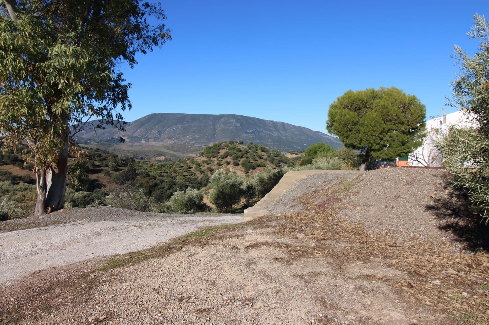 4 quarto Quinta/Casa Rural para venda em El Gastor - 1 000 000 € (Ref: 9471581)