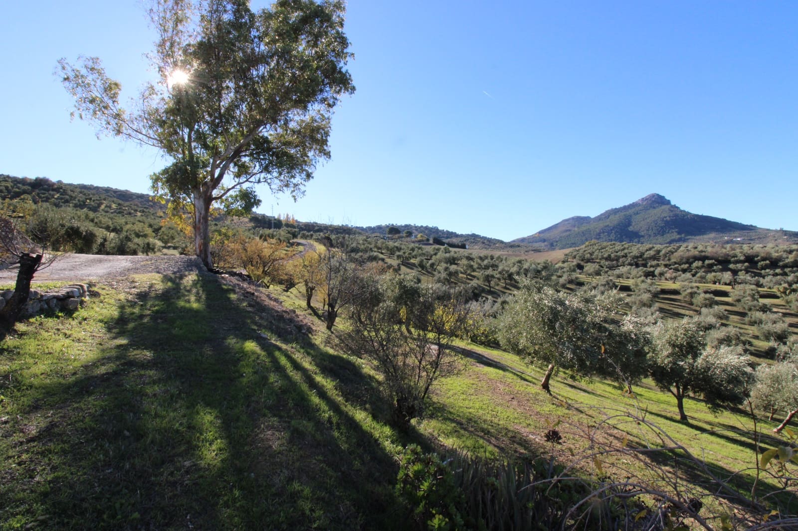 4 quarto Quinta/Casa Rural para venda em El Gastor - 1 000 000 € (Ref: 9471581)