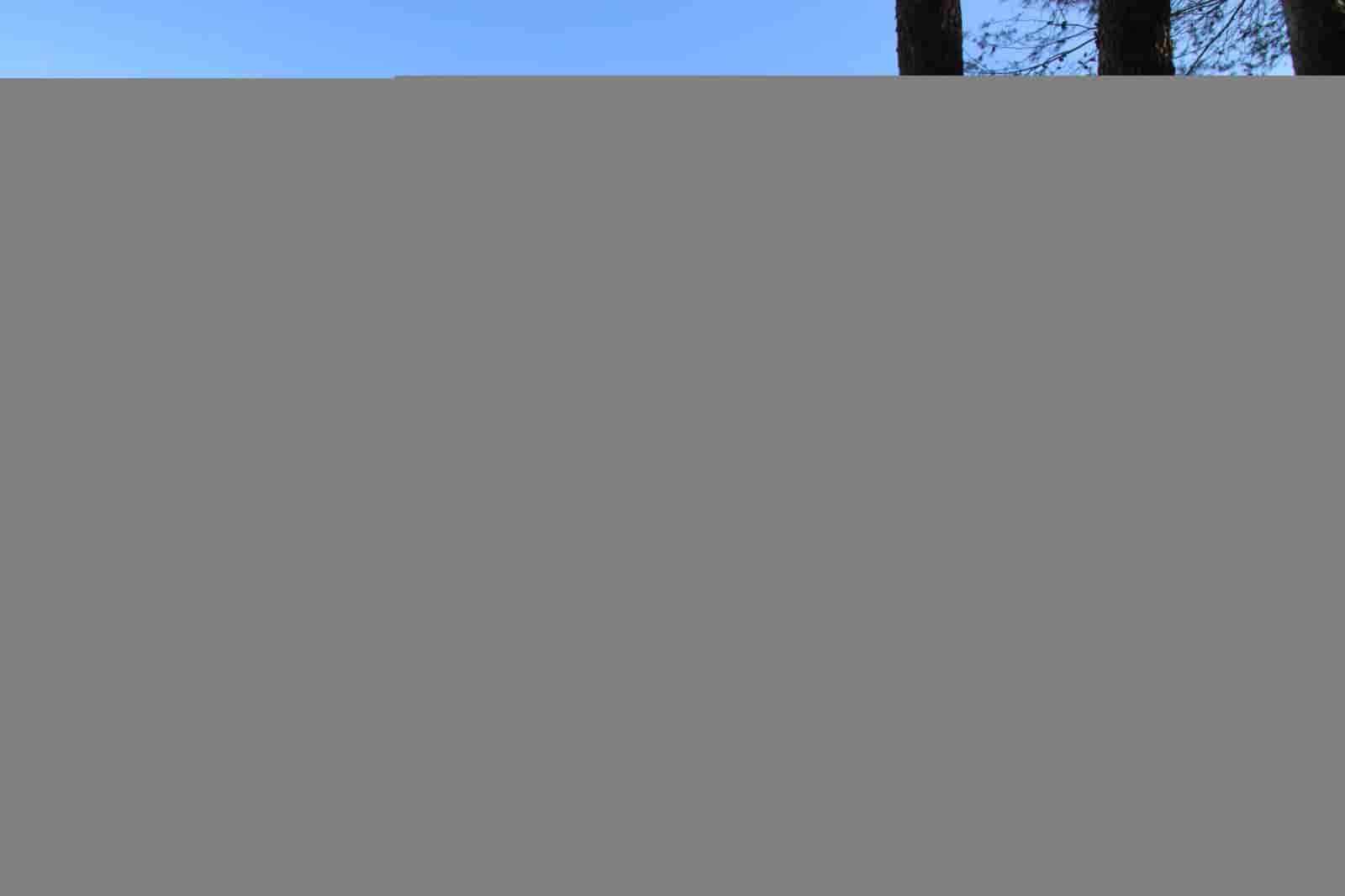 3 bedroom Finca/Country House for sale in Ronda with pool - € 525,000 (Ref: 9685238)